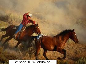 2 03.  aprilie  2006