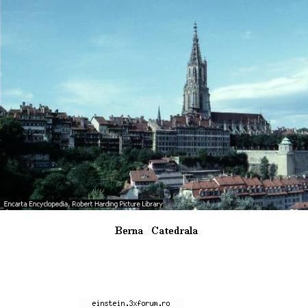 3 1  april 2006fara  pacaleli  cnsas  exemplu