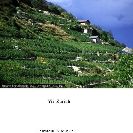 6 1  april 2006fara  pacaleli  cnsas  exemplu