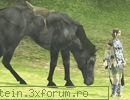 4 aprilie 2006 - mnovicov - Istoria