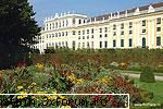 4 aprilie 2006 Ultrasunetele - mnovicov - Fizica  comentata