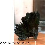 Mineralogia Florile de mina - Frumusetea Stibinei! - Minerit -  Geologie