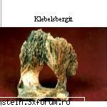 Mineralogia Florile de mina - Klebelsgerbit ! Fara cuvinte! - Minerit -  Geologie